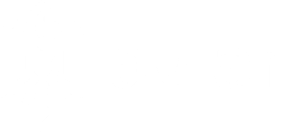 AVN explorer logo